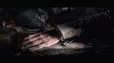 Video1