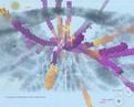 Cell HD: emergence on PC screenshot thumbnail #6