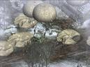 Commandos 3: Destination Berlin on PC screenshot thumbnail #2