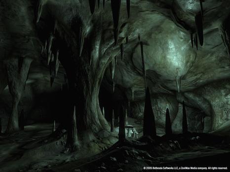 The Elder Scrolls IV: Oblivion Game of the Year Edition Deluxe on PC screenshot #3