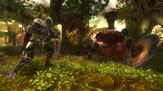 Kingdoms of Amalur - Reckoning - US & Canada on PC screenshot thumbnail #5