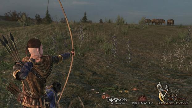 Mount & Blade: Warband - Viking Conquest Reforged Edition on PC screenshot #7