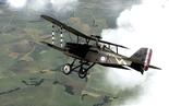 Rise of Flight - Iron Cross Edition on PC screenshot thumbnail #5
